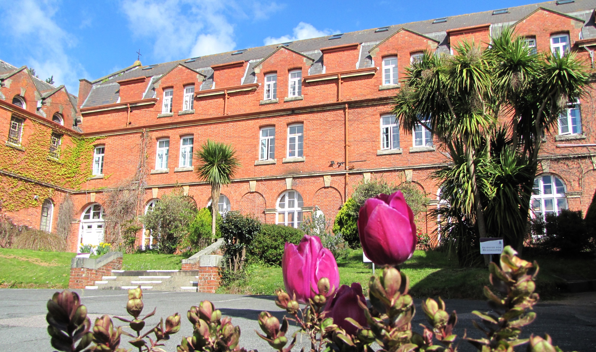 The Knox School