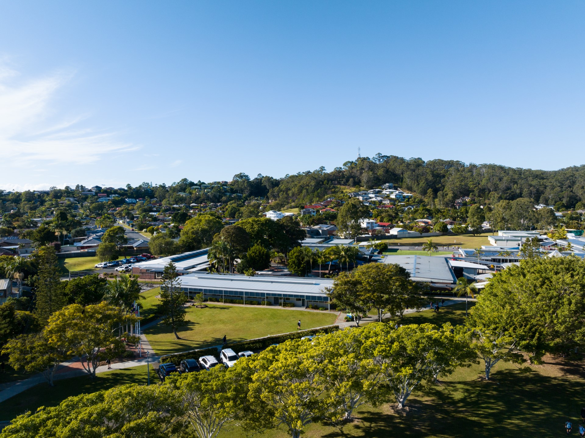 The Knox School